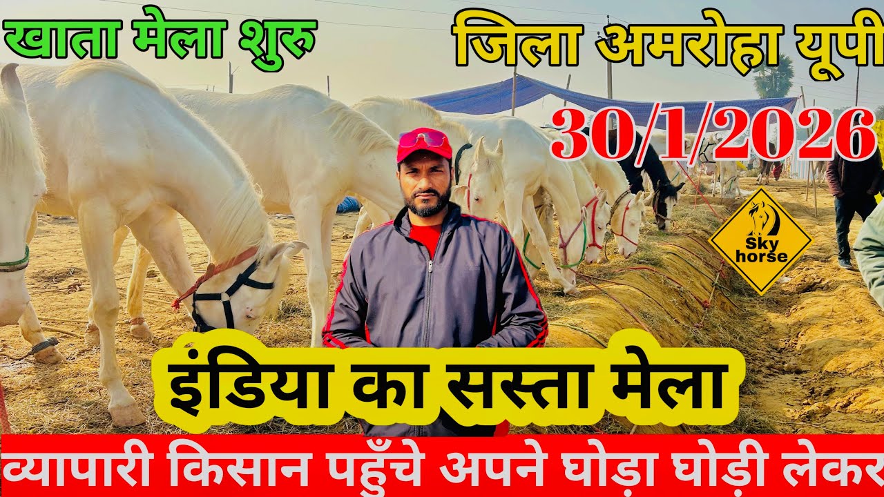 जोया खाता मेला शुरू व्यापारी और किसान पहुँचे अपने घोड़ा घोड़ी लेकर | #Khatamela2026