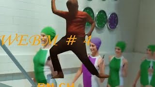 WEBM Compilation №4