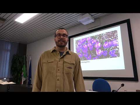 Andrea racconta il percorso alla Scuola Emergere