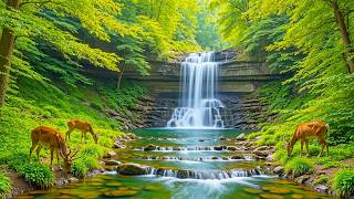 Healing Music for Stress, Anxiety and Depression: Heal Your Mind, Body and Soul #1