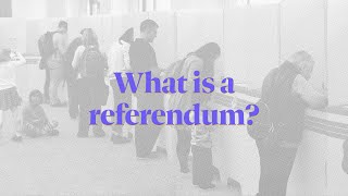 What is a referendum? | The Daily Aus