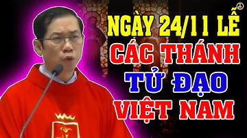 (NGÀY 24/11) LỄ CÁC THÁNH TỬ ĐẠO VIỆT NAM | Bài giảng SÂU SẮC của LM Phaolo Lưu Quang Bảo Vinh