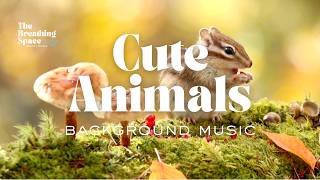 Cute Animals The Breathing Space | Respira y Renace screenshot 5