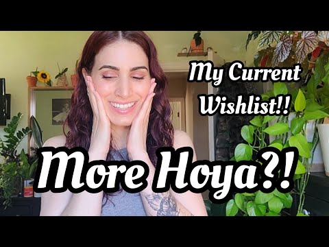 Top 8 Current Hoya Wishlist Plants? all the Hoya I don't have & need like asap ?