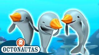 Octonautas - Brincando com Golfinhos 🐬 | Dia Nacional dos Golfinhos | Episódios inteiros