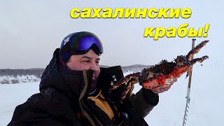 Как ловить крабов? Сахалинская крабалка