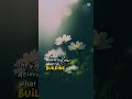 Rise Above Limits | Powerful Motivation