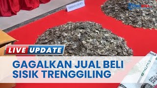 Pelaku Transaksi Jual Beli 41 Kg Sisik Trenggiling Berhasil Diamankan Pihak Kepolisian Polda Riau