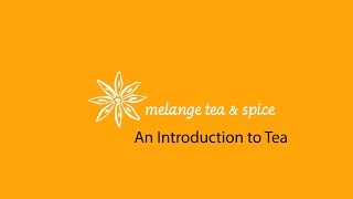 An Introduction to Tea