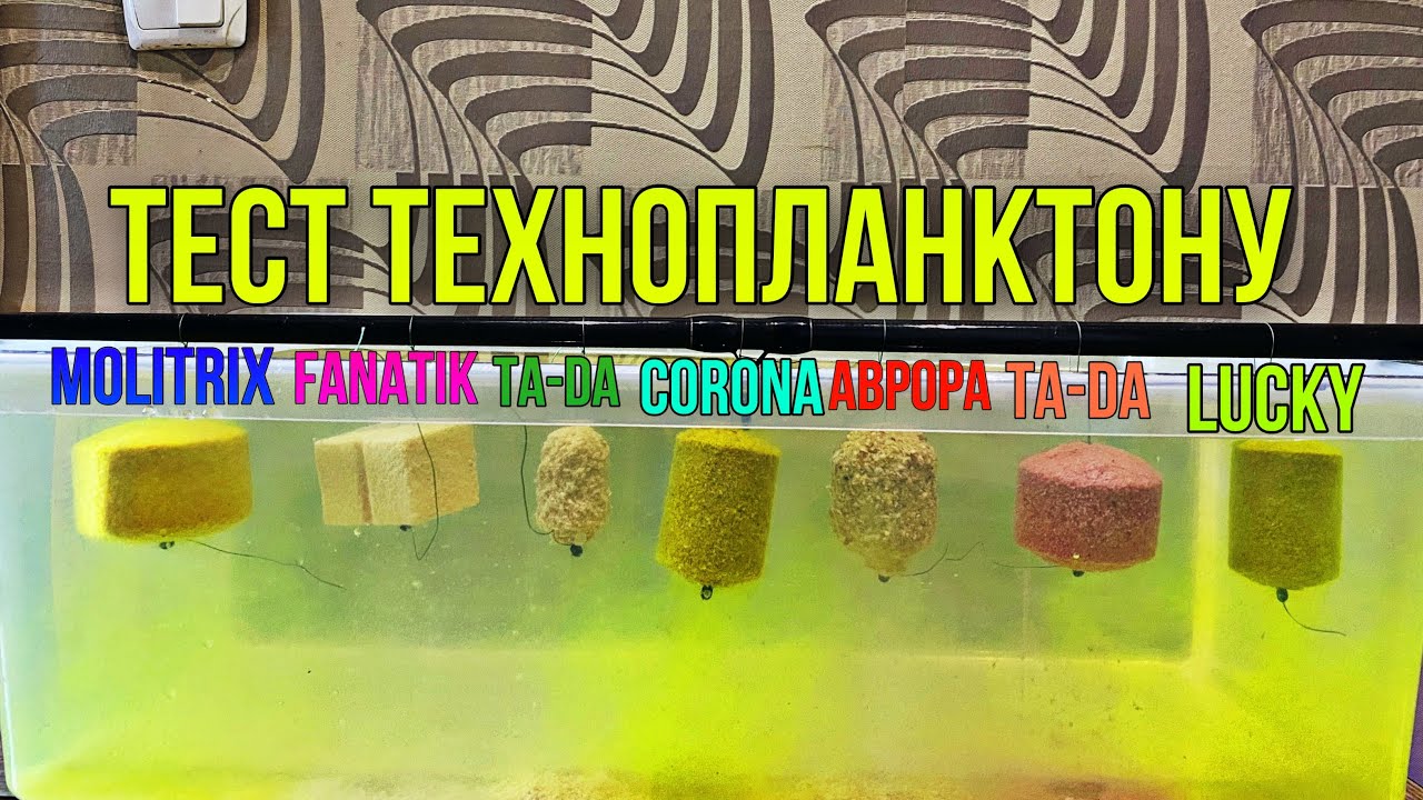 Тестуємо Технопланктон Товстолоб. Molitrix, Fanatik, Corona, Автора,