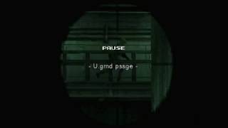 IGT Abuse/Pause Buffering Wolf 1 Net Worth