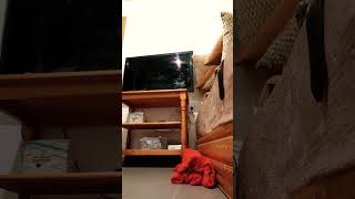 A Mi Prima Le Pica El Culo