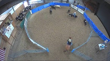 Big Sky Ranch Sorting Saddle Series #4 - OPEN - Round #1 - Ride #9
