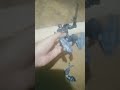 pacific rim versus godzilla part 3