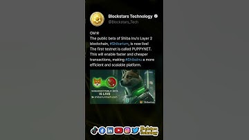 The public beta of Shiba Inu