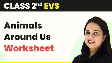 Class 2 EVS | Animals Around Us - Worksheet