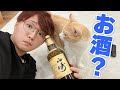 禁酒からの開放