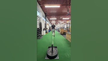 Sled Drag | Backwards | Weightlifting Belt