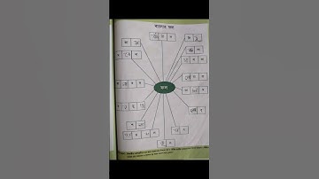 WB class1..page 311.প্রথম শ্রেণী।৩১১ পৃষ্ঠা। ফলের নাম।#shorts #wbprimary #school