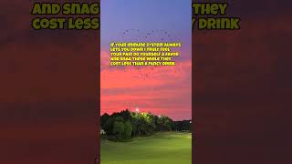 Celebrity you'll find link in bio for my winter wellness hack ❄️ Profile