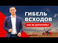 Гибель всходов: как не допустить