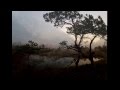 Morning Wake Up on the Kemeri bog trail, Latvia / Ķemeru tīrelis