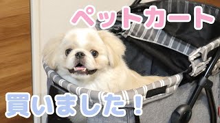 ペットカートデビューするペキニーズ！【Pekingese】