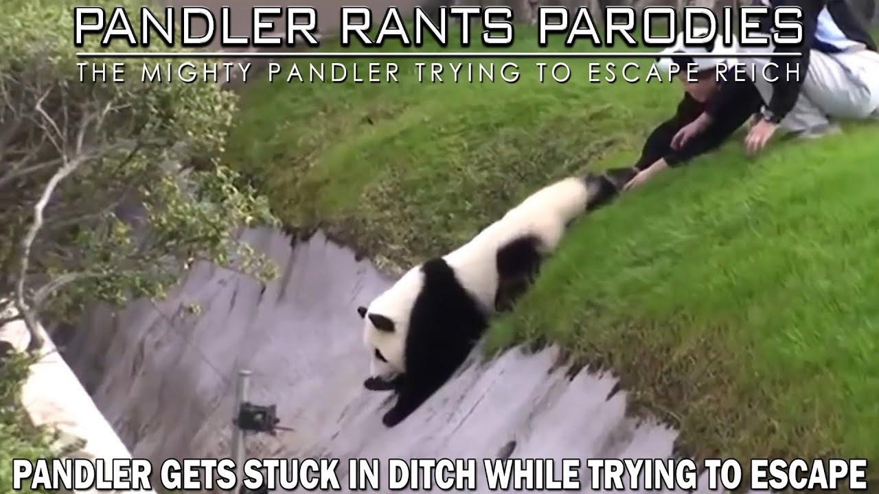 Pandler gets stuck in ditch while trying to escape