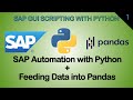 Automate SAP Spreadsheets Export with Python and Analysis with Pandas in a single Python script