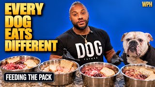 Not All Dogs Eat the Same (Feeding the Pack)