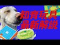 犬の知育玩具　ニーナオットソン　完全解説動画　Challenge　Slider　MultiPuzzle　Wobble Bowl　ニーナドッグトイズで販売　犬の退屈　ストレス発散　パズルゲーム　知育トイ