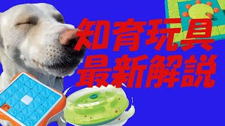 犬の知育玩具　ニーナオットソン　完全解説動画　Challenge　Slider　MultiPuzzle　Wobble Bowl　ニーナドッグトイズで販売　犬の退屈　ストレス発散　パズルゲーム　知育トイ
