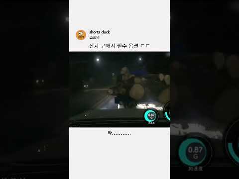 신차 구매시 필수 옵션 ㄷㄷ thumbnail