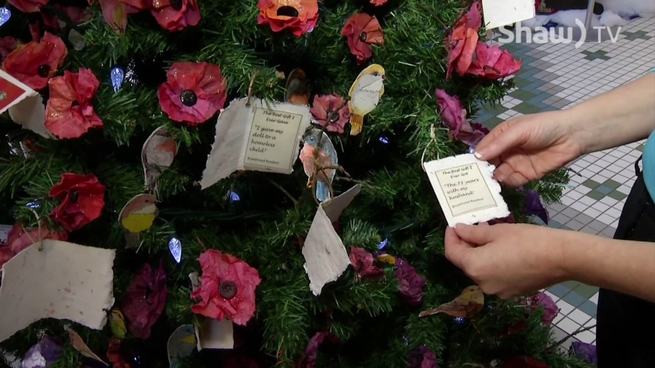 Festival of Trees 2016