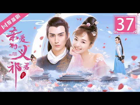 【FULL大结局B】亲爱的义祁君37 | My Dear Destiny37（张思帆/胡意旋/李歌洋/温碧霞/王家茵/胡文喆）