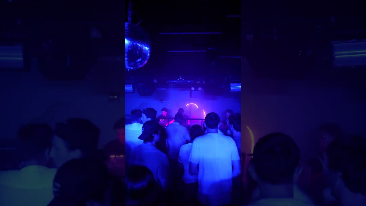 Scenes from Elsewhere NYC