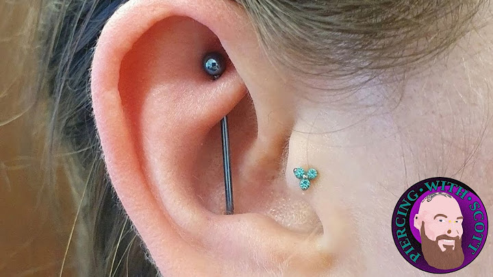 The Whole Truth - Rook to Conch Industrial Piercing