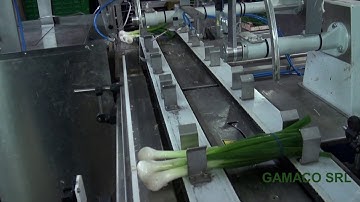 GAMACO - SPRING ONIONS TYING / LEGATRICE PER  CIPOLLOTTI