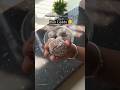 lazy bun laddu😋 #explore #ytshorts #fyp #new #recipe