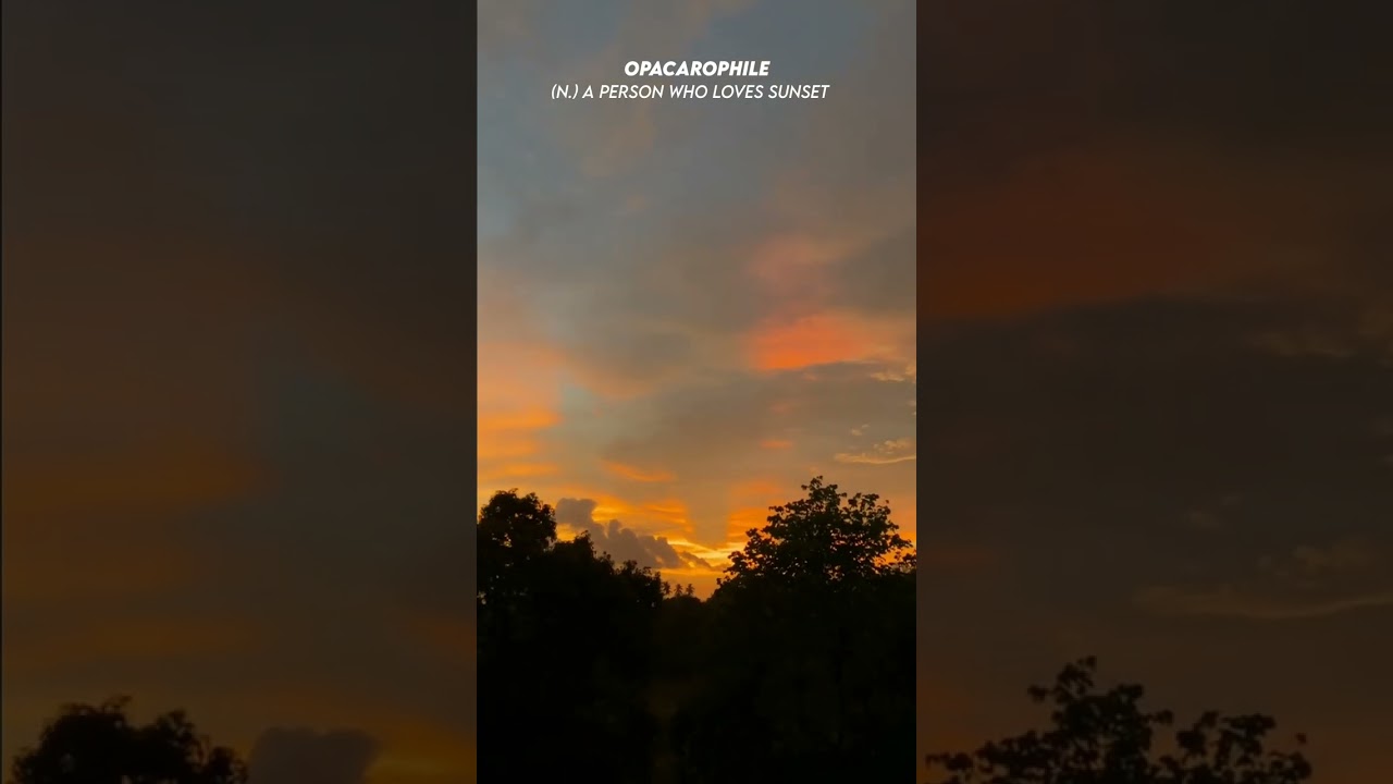 Opacarophile || A person who loves sunset