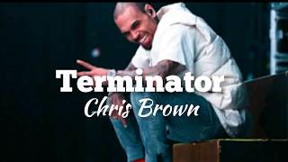 Chris Brown - Terminator [Lyrics Video]