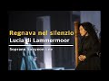 &quot;Regnava nel silenzio&quot; from Lucia di Lammermoor - Soprano Sooyeon Lee #소프라노 이수연