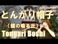 P158  とんがり帽子（鐘の鳴る丘）"Tongari Boshi"　複音ハーモニカ  by  Yuko Yanagawa Tremolo Harmonica 1000　※全音楽譜準拠