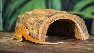 Wooden Hut  #WoodenHut #SmallPetHouse #HamsterHouse #GuineaPigHouse #RabbitHide #HedgehogHouse