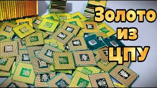 Что найдём в старых процессорах 2005 года? Золото в CPU 🧪