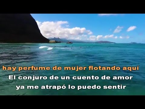marcas en mi piel rata blanca letra marcas en mi piel rata blanca letra