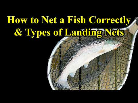 Watch: how to net a fish correctly