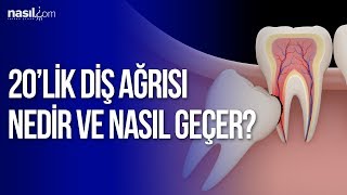 20 lik dis agrisi nedir ve nasil gecer saglik nasil com youtube