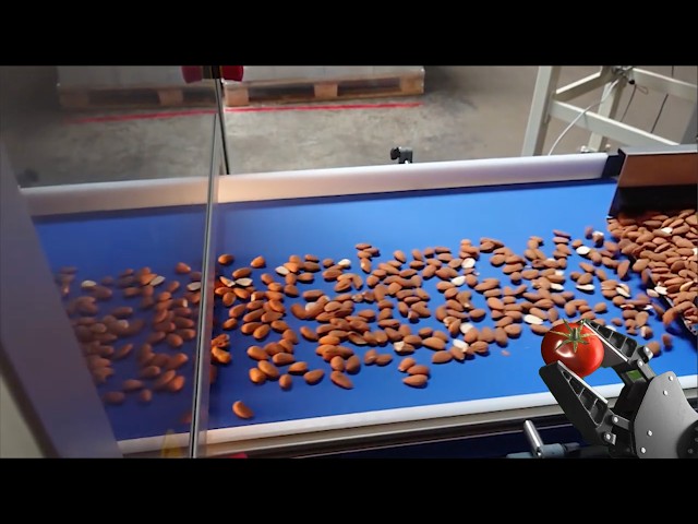 Intelligent sorting for higher muesli and food quality