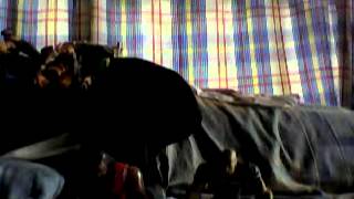Capture 20120831 9